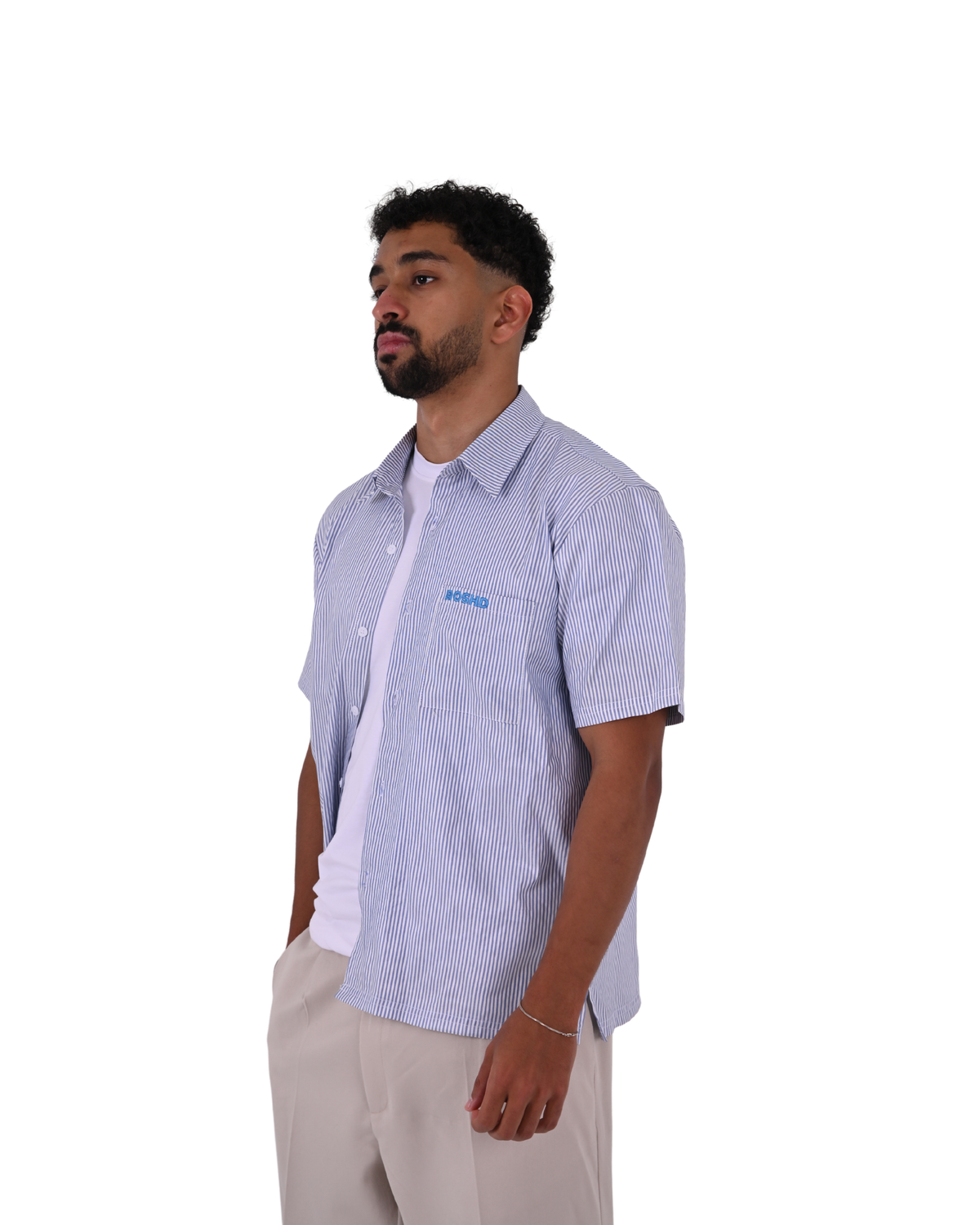 Short Sleeve Blue Striped Shirt