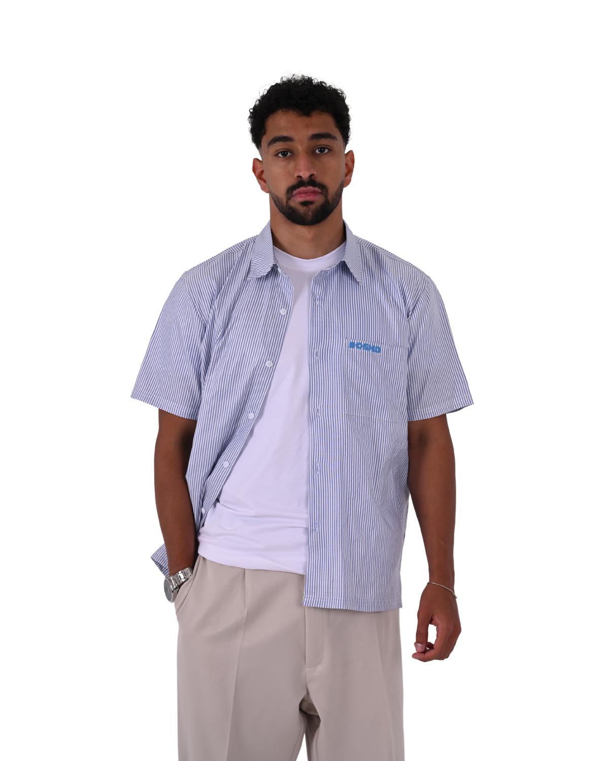 Short Sleeve Blue Striped Shirt
